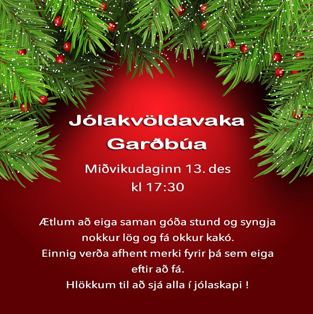 Christmas background with fir tree branches and berries 1410